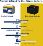 Ninthcit LiFePO4 Akku 12.8V 65Ah-L 832Wh Lithium Batterie mit über 8000 Mal Tiefzyklen und BMS Schutz für Solaranlage, Geeignet für Solaranlagen, Wohnmobile, Boote, Häuser(1Stück)
