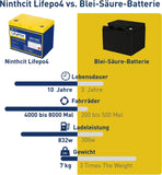 Ninthcit LiFePO4 Akku 12.8V 65Ah 832Wh Lithium Batterie mit über 8000 Mal Tiefzyklen und BMS Schutz für Solaranlage, Geeignet für Solaranlagen, Wohnmobile, Boote, Häuser(1Stück)