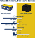 Ninthcit LiFePO4 Akku 12.8V 265Ah 3392Wh Lithium Batterie mit über 8000 Mal Tiefzyklen und BMS Schutz für Solaranlage, Geeignet für Solaranlagen, Wohnmobile, Boote, Häuser(1Stück)Deutsches Lager