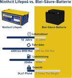 Ninthcit LiFePO4 Akku 12.8V 160AH, Lithium Batterie mit über 8000 Mal Tiefzyklen und BMS Schutz für Solaranlage, Geeignet für Solaranlagen, Wohnmobile, Boote, Häuser(1Stück)