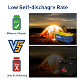 24V 100Ah LiFePO4 Battery Pack 25.6V Deep Cycle Battery with 8S 25.6V 100Ah BMS Replace Most Backup Power/Solar/RV/BOOT